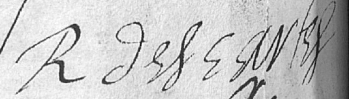 Descartes in Italy: To Sell Some Mules